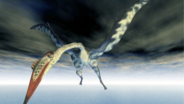 Quetzalcoatlus-northropi-image