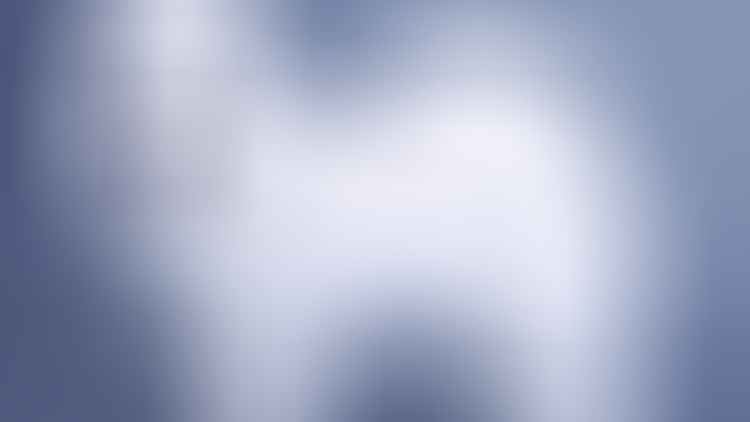 Samoyed-Image