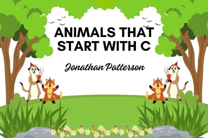 animals that start with c
